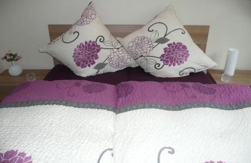 Bernkastel Apartment | Mosel Ferienhaus Bernkastel