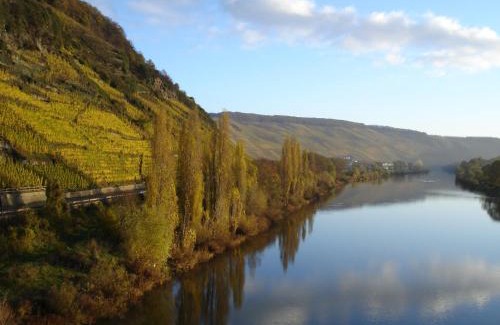 Thornich Apartment | Mosel Ferienresidenz ZickZack
