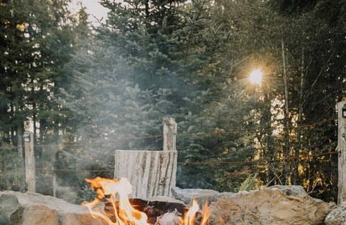 Forks Cabin | Mossquatch Resort - Cabin 1 Upgrade your camping experience!