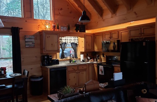 Ellijay Cabin | MOST AMAZING Sunrises! 2 Lux kgs , 2 ba. real log cabin! WIFI, cable, NETFLIX !
