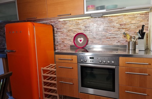 Langel House | Most beautiful location on the Rhine in the immediate vicinity of the city cozy house with fireplace