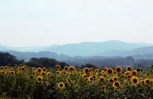 Hochriess Hotel | Mostlandhof