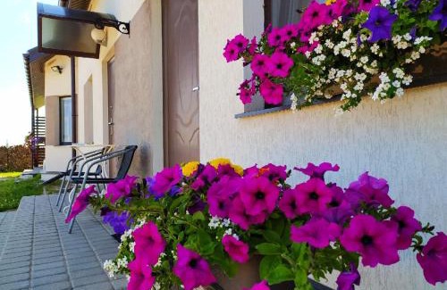 Latgale Hotel | Motel Golden Fox