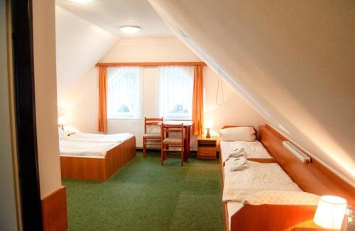 Dehtare Hotel | Motel Velký Rybník