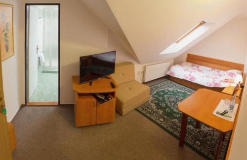 Dehtare Hotel | Motel Velký Rybník
