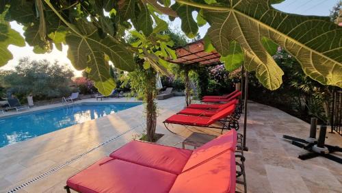 Pelissanne House | Moulin AURELIA