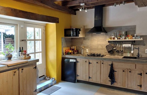 Saint-Prix-les-Arnay Apartment | Moulin Fouché | The Mill | Spacious gîte with three terraces near a nice lake