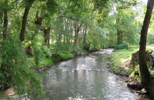 Chabris House | Moulin paisible en Berry avec étang privé, proche du Château de Valençay et Zoo de Beauval - FR-1-591-18