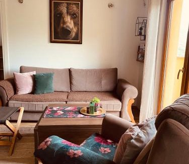 Mavrovo Apartment | Moun2