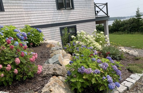 Seal Cove Apartment | Mount Desert Island Waterfront. Acadia National Park. Luxury Suite.