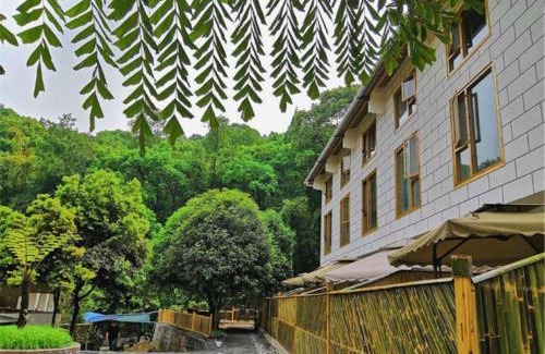 Emeishan House | Mount Emei Bamboo Private Hot Spring Bed and Breakfast