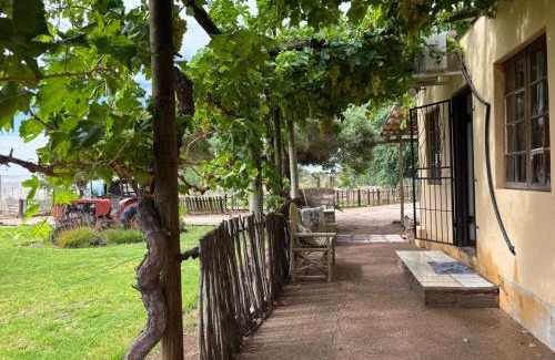 Upington Apartment | Mount Gerizim Farm