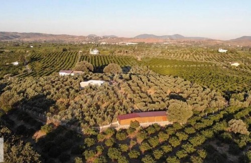 Seferihisar Hotel | Mount Ida Detox Hotel Adults only Izmir