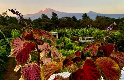Moshi Cabin | Mount Kilimanjaro 360 view Cottage