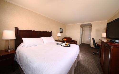 Grand Falls - Windsor Hotel | Mount Peyton Resort & Conference Centre