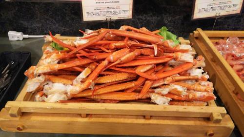 Kamikawa Hotel | Mount View Hotel