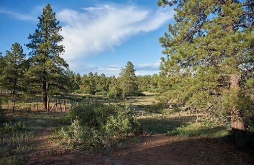 Lewis Cabin | MOUNTAIN BIKE, SIDE BY SIDE OR BRING YOUR HORSE RIDE RIGHT ON TO NATIONAL FOREST