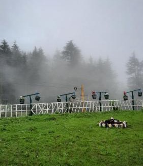 Khajjiar House | Mountain Bliss Homestay