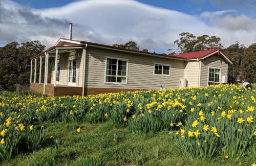 Golden Valley House | Mountain Blue Guest House