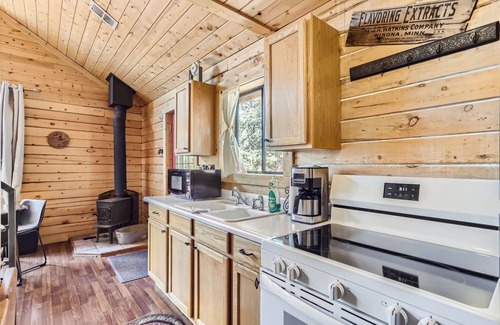 Indian Mountain Cabin | Mountain Cabin surrounded by woods and views + Hot Tub