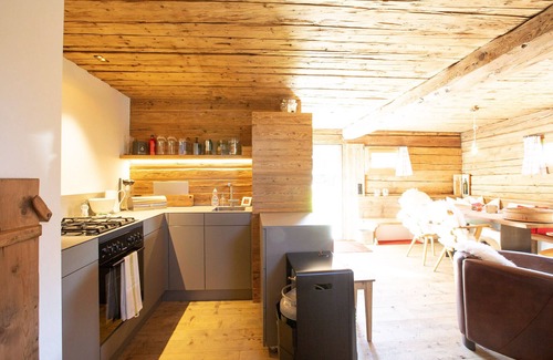 Lantsch-Lenz Ski Chalet | Mountain Cabin Tschividains Lenzerheide