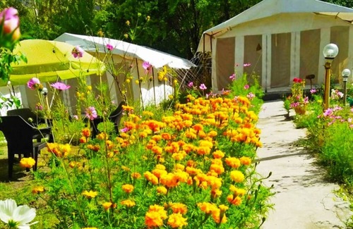 Nubra Valley RV Rental | Mountain Camp