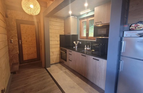 Thollon-les-Memises Ski Chalet | Mountain chalet 6 pers resort Thollon-les-Mémises vue lac Léman cosy/calme