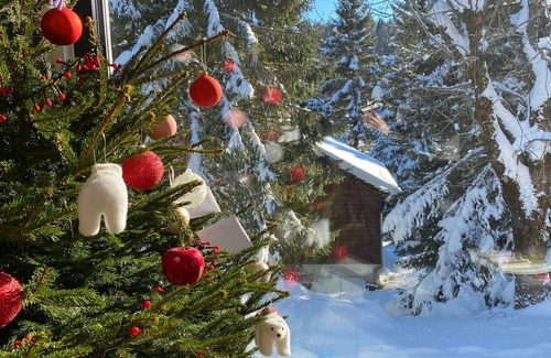 Longchaumois Ski Chalet | Mountain chalet near Geneva