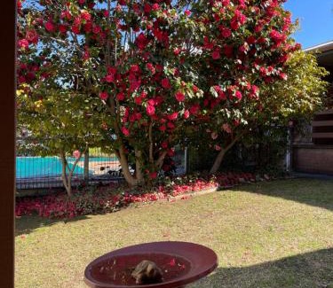 Tawonga Hotel | Mountain Creek Motel Bar & Restaurant