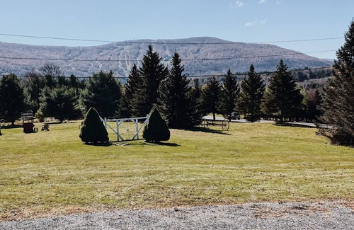 Windham House | Mountain Escape 5 Minutes to Ski ResortnnnGreat Discounted Summer rental !