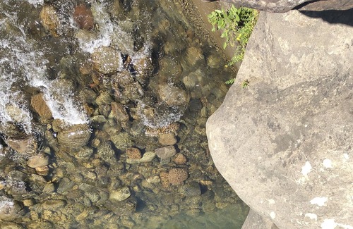 Shasta County Apartment | Mountain Getaway with private Waterfall Fall, Drive to Lassen, Burney Falls