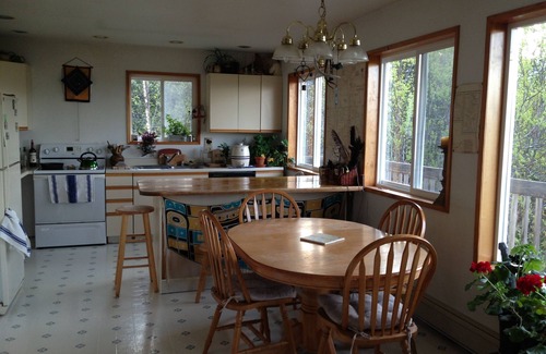 Haines Ski Chalet | Mountain Glacier View Surrounded by Habitat