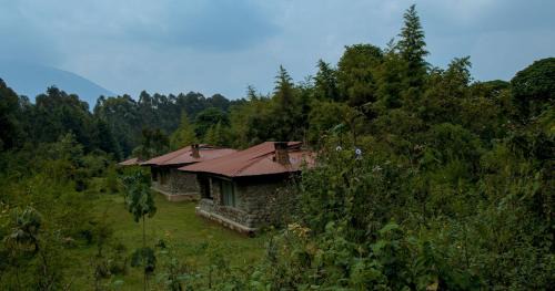 Kinigi Hotel | Mountain Gorilla View Lodge