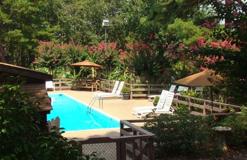 Mount Ida Apartment | Mountain Harbor King Guest Room on Lake Ouachita by RedAwning
