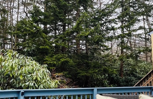 Lake Harmony House | Mountain Hideaway: Your Pocono retreat. Your adventure awaits!