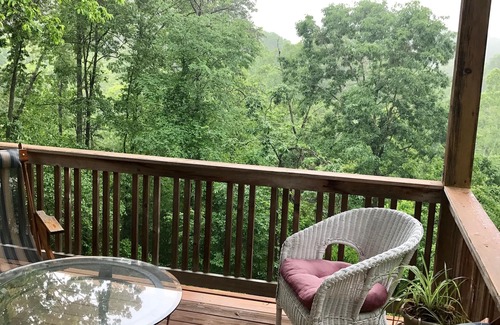 Candler House | Mountain Home, 10 miles to Asheville! Great Deck & Views