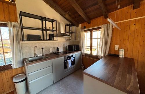 Boenigen House | Mountain Homes - Outpost