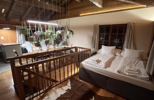 Boenigen House | Mountain Homes - Outpost