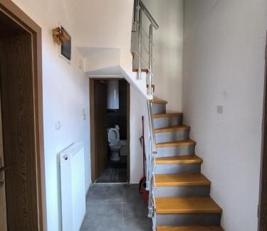 Brezovice Apartment | Mountain House - Brezovica