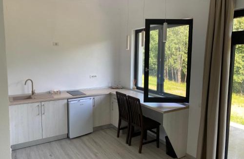 Novaci House | Mountain House Transalpina