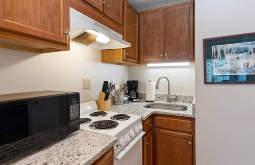 Wintergreen Condo | Mountain Inn Lodge 59 with Wintergreen Advantage