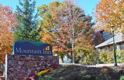 Wintergreen Condo | Mountain Inn Lodge 83 with Wintergreen Advantage