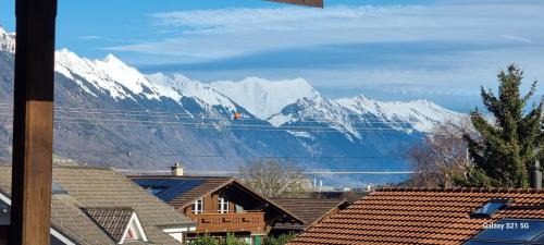 Wilderswil Apartment | Mountain - Lake Apartement 1