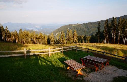 Vidrga Cabin | Mountain Lodge Smrekovc