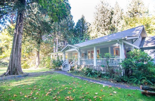 Ashford Hotel | Mountain Meadows Inn & Chalet Suites