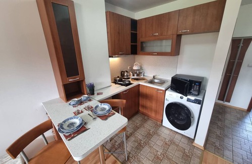 Shiligarnika Apartment | Mountain Paradise 1 - 1 Bedroom Homey Two Floor Apartment - Washer