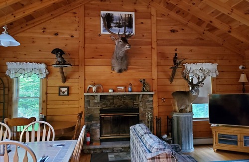 Equinunk House | Mountain sanctuary. 3 bedroom country getaway in the Poconos. 18+ acres