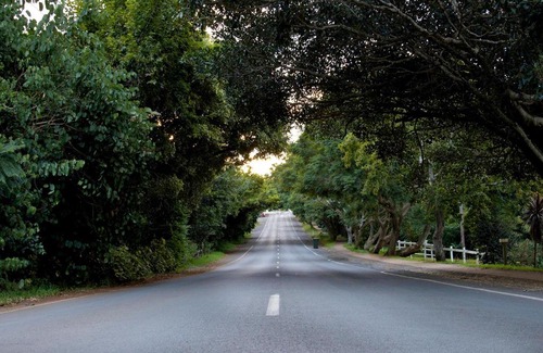 North Tamborine Bed & Breakfast | Mountain Sanctuary B&B