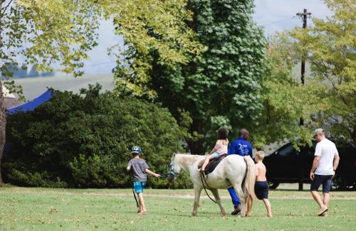 Cathkin Park Other | Mountain Splendour Eco Resort