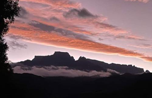 Cathkin Park Other | Mountain Splendour Eco Resort